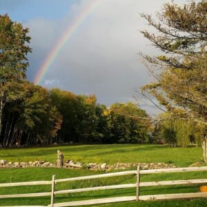 Rainbow over the Farm