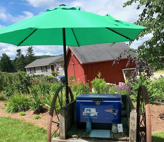 Self Serve Cart